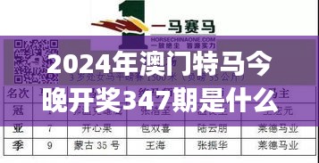 2024年澳门特马今晚开奖347期是什么,专家评估说明_黄金版3.812