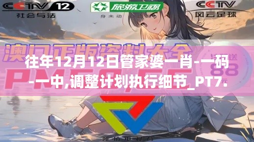 往年12月12日管家婆一肖-一码-一中,调整计划执行细节_PT7.410