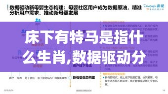 床下有特马是指什么生肖,数据驱动分析决策_QHD版3.560