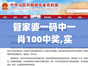 管家婆一码中一肖100中奖,实效策略解析_GT7.275
