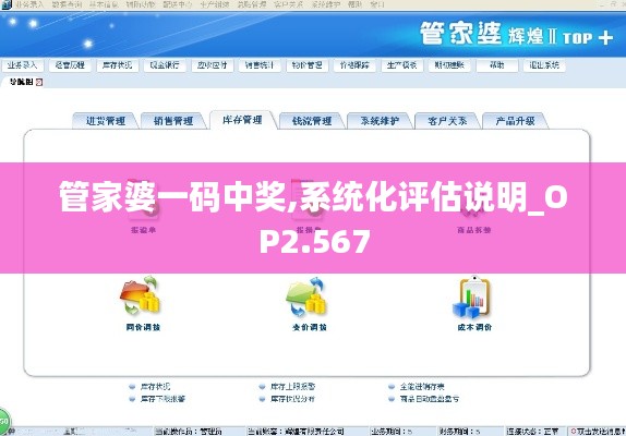 管家婆一码中奖,系统化评估说明_OP2.567