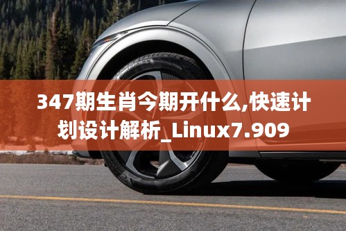 347期生肖今期开什么,快速计划设计解析_Linux7.909