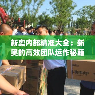 新奥内部精准大全：新奥的高效团队运作秘籍