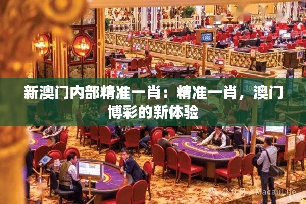 新澳门内部精准一肖：精准一肖，澳门博彩的新体验