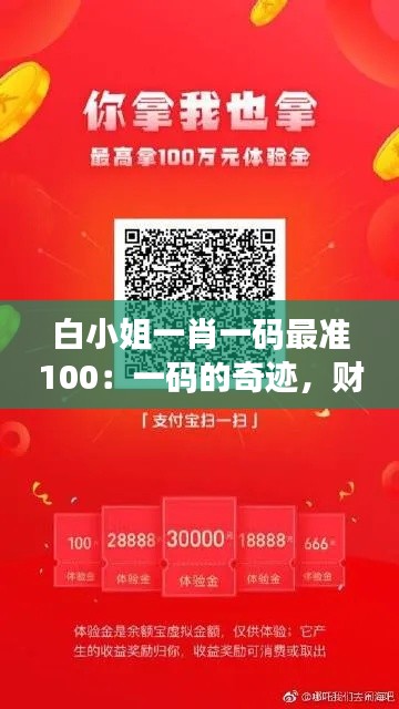 白小姐一肖一码最准100：一码的奇迹，财富的飞跃
