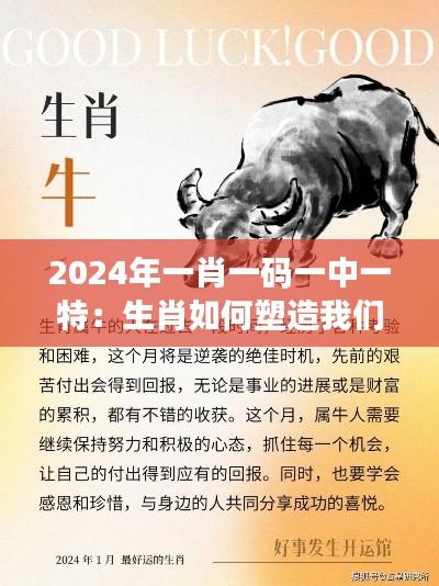 2024年一肖一码一中一特：生肖如何塑造我们的生活方式