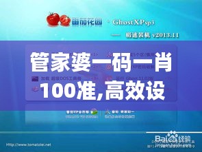管家婆一码一肖100准,高效设计实施策略_XP13.737