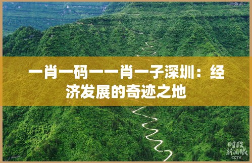 一肖一码一一肖一子深圳：经济发展的奇迹之地