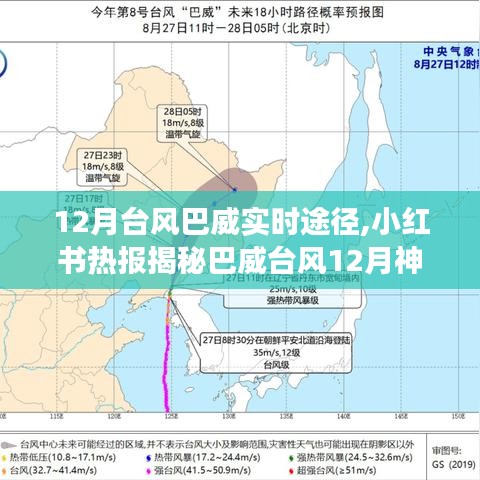 揭秘巴威台风神秘之旅，小红书热报下的实时路径解析！