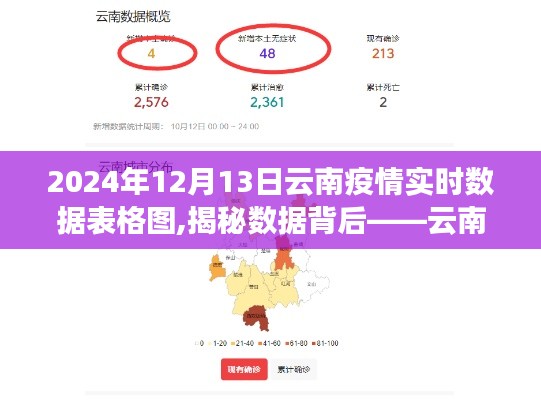 揭秘数据背后，云南疫情实时追踪报告（附详细数据表格图，2024年12月13日版）