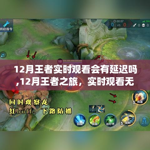 探寻自然美景的静谧之旅，王者之旅实时观看无延迟