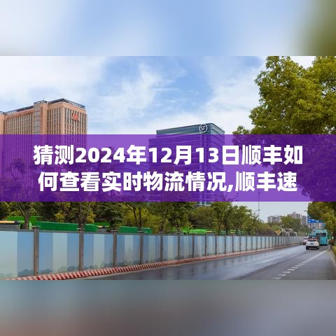 顺丰速递未来展望，实时追踪包裹，温馨等待在指尖的奇妙体验