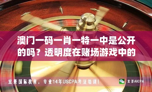 澳门一码一肖一特一中是公开的吗？透明度在赌场游戏中的重要性