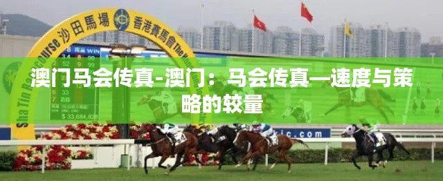 澳门马会传真-澳门：马会传真—速度与策略的较量