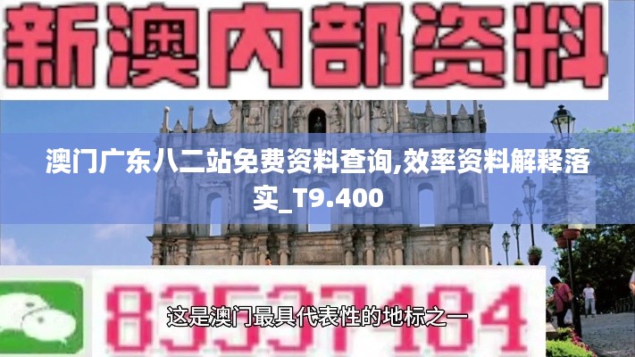 澳门广东八二站免费资料查询,效率资料解释落实_T9.400