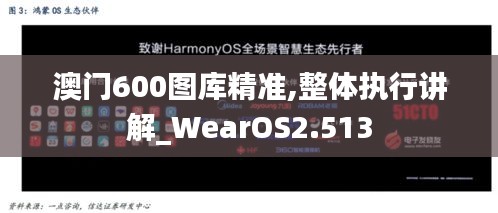 澳门600图库精准,整体执行讲解_WearOS2.513