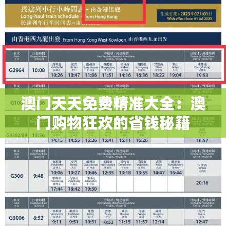 澳门天天免费精准大全：澳门购物狂欢的省钱秘籍