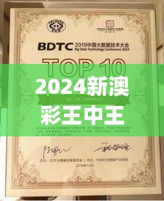 2024新澳彩王中王,预测解答解释落实_复古版5.378