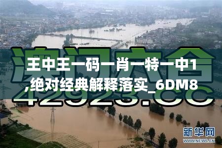 王中王一码一肖一特一中1,绝对经典解释落实_6DM8.440