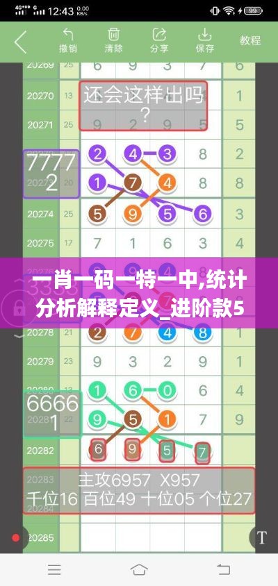 一肖一码一特一中,统计分析解释定义_进阶款5.955