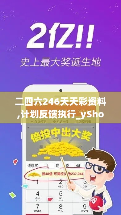 二四六246天天彩资料,计划反馈执行_yShop6.501