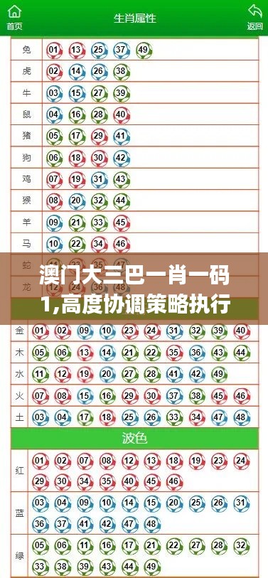 澳门大三巴一肖一码1,高度协调策略执行_MT6.803