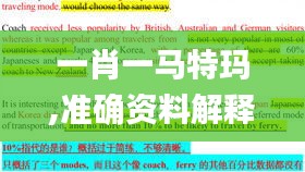 一肖一马特玛,准确资料解释落实_模拟版7.587