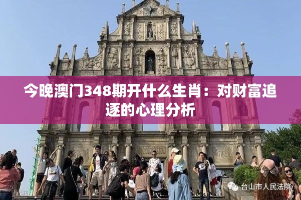 今晚澳门348期开什么生肖：对财富追逐的心理分析