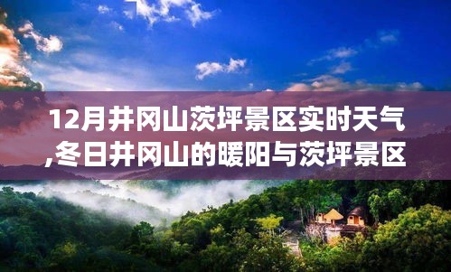 冬日井冈茨坪景区，暖阳下的奇遇与温馨时光