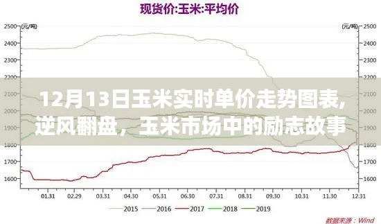 12月13日玉米实时单价走势图表，逆风翻盘与市场启示录