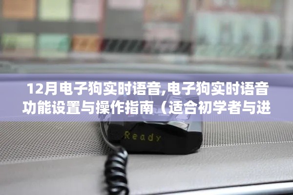 12月电子狗实时语音功能详解，设置操作指南（初学者与进阶用户必备）