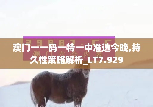 澳门一一码一特一中准选今晚,持久性策略解析_LT7.929