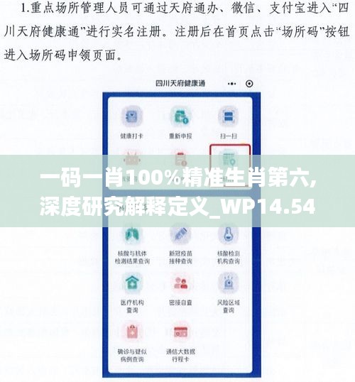 一码一肖100%精准生肖第六,深度研究解释定义_WP14.548