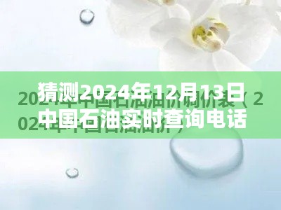 揭秘中国石油实时查询电话，掌握油价动态，轻松查询油价信息！