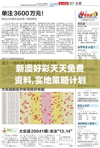 新澳好彩天天免费资料,实地策略计划验证_经典款9.280