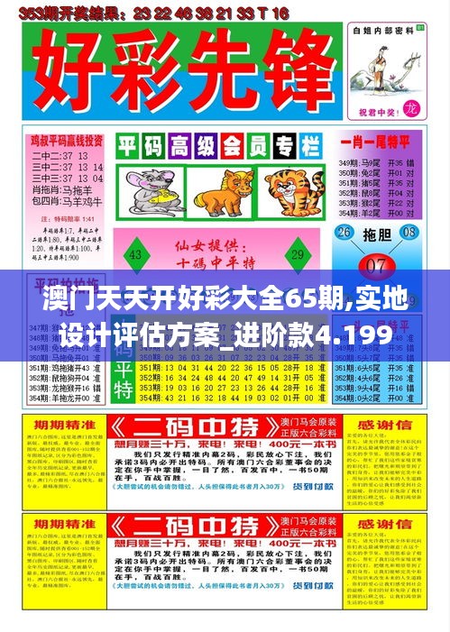 澳门天天开好彩大全65期,实地设计评估方案_进阶款4.199