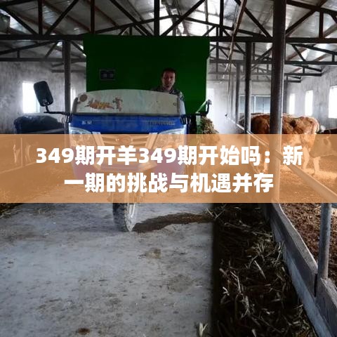 349期开羊349期开始吗：新一期的挑战与机遇并存