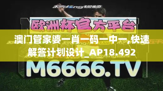澳门管家婆一肖一码一中一,快速解答计划设计_AP18.492