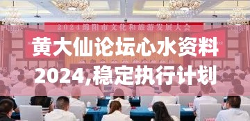黄大仙论坛心水资料2024,稳定执行计划_精简版6.731