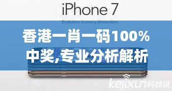香港一肖一码100%中奖,专业分析解析说明_Plus4.901