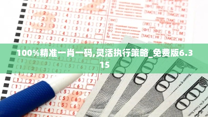 100%精准一肖一码,灵活执行策略_免费版6.315