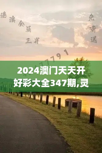 2024澳门天天开好彩大全347期,灵活解析实施_策略版7.148