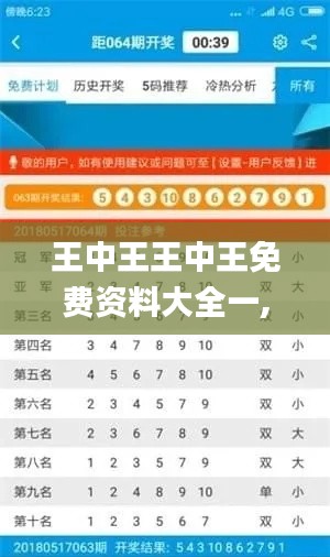 王中王王中王免费资料大全一,实地考察分析数据_GT6.411
