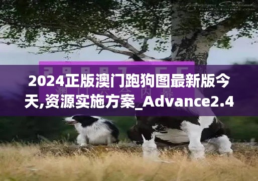 2024正版澳门跑狗图最新版今天,资源实施方案_Advance2.455