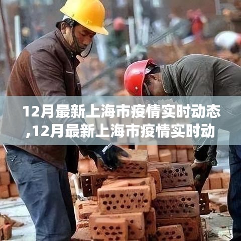 全面解析与洞察，12月最新上海市疫情实时动态