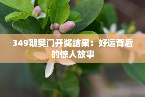 349期奥门开奖结果：好运背后的惊人故事