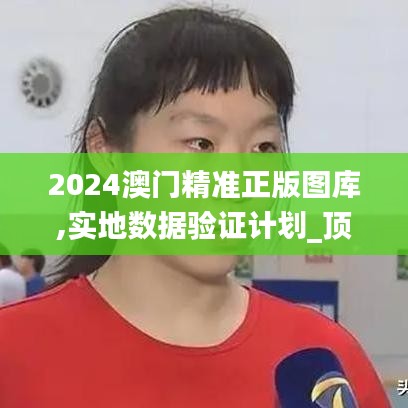 2024澳门精准正版图库,实地数据验证计划_顶级款6.520