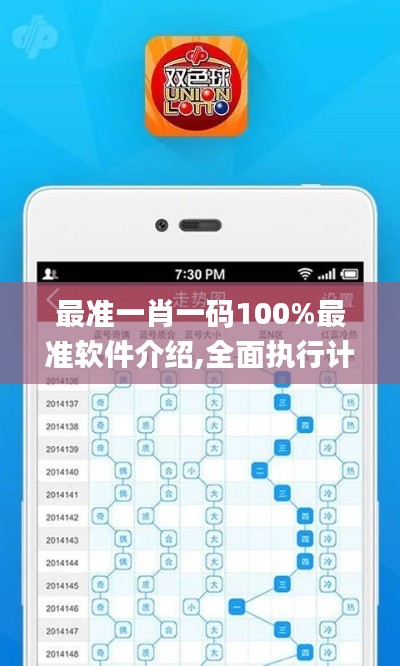 最准一肖一码100%最准软件介绍,全面执行计划数据_定制版1.787