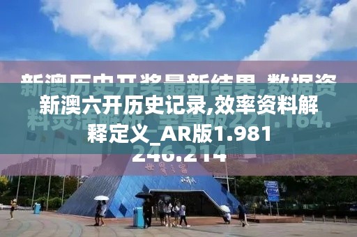 新澳六开历史记录,效率资料解释定义_AR版1.981