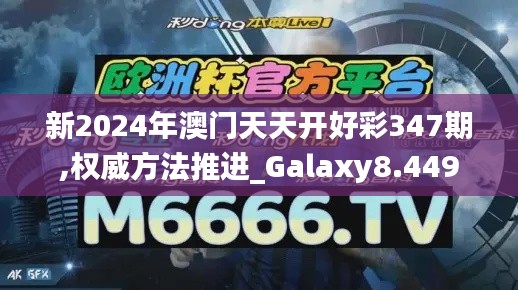 新2024年澳门天天开好彩347期,权威方法推进_Galaxy8.449